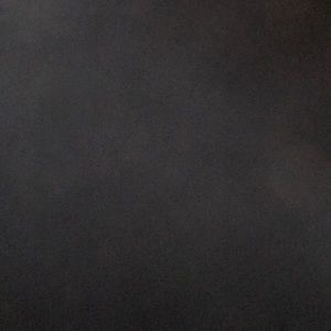 Meet your Posher, Gloria